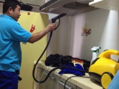 家電清洗設備、技術與家政服務市場全解析