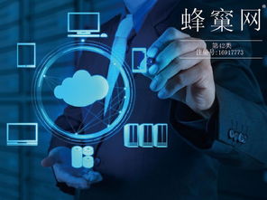 商標分類第42類第4217分組列表明細查詢指南——以尚標商標網為例