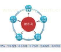 企業(yè)管理信息咨詢服務 驅動企業(yè)可持續(xù)發(fā)展的關鍵力量
